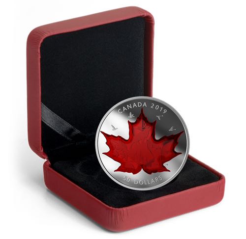Célébrons les emblèmes classiques du Canada - Pièce de 5 oz en argent pur  coin collectible [Barcode 623932094123] - Main Image 3