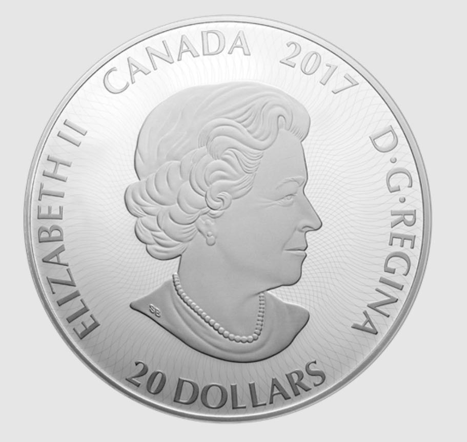 Kaléidoscope d’emblèmes canadiens : Le Huard - Pièce colorée de 1 oz en argent pur   coin collectible [Barcode 623932081581] - Main Image 2