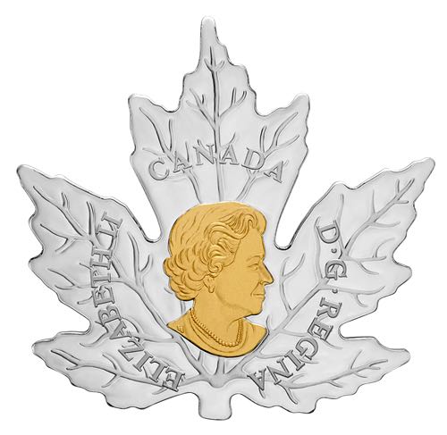 Feuille d’érable - Pièce de 1 oz en argent pur avec placage d’or et dorure sélective  coin collectible [Barcode 623932081352] - Main Image 3