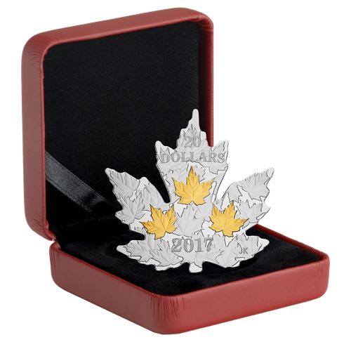 Feuille d’érable - Pièce de 1 oz en argent pur avec placage d’or et dorure sélective  coin collectible [Barcode 623932081352] - Main Image 4