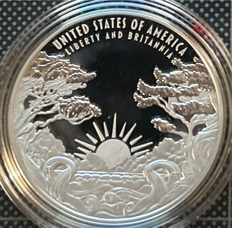 US Medal Liberty and Britannia  coin collectible - Main Image 2