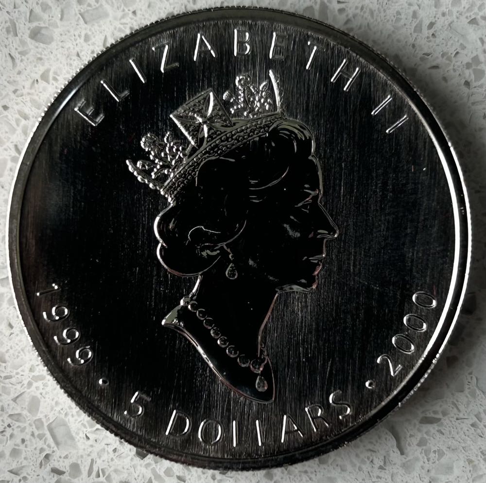 1999 Canadian Maple - Fireworks Privy  coin collectible - Main Image 2