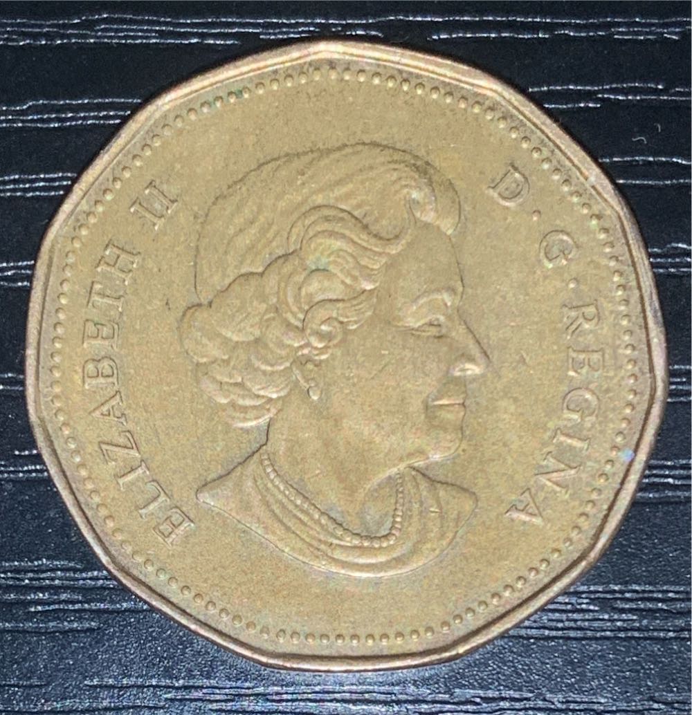 1 Dollar - Elizabeth II (Lucky Loonie 2004)  coin collectible - Main Image 2