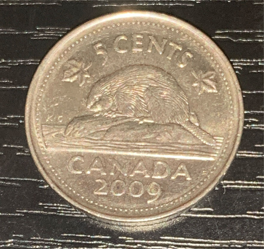 American 1956 D 1 Cent “Lincoln Wheat Cent” Penny (Mom’s Collection)