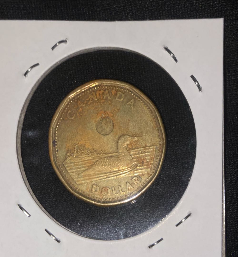 Elizabeth II Canadian Dollar 2013  coin collectible - Main Image 2