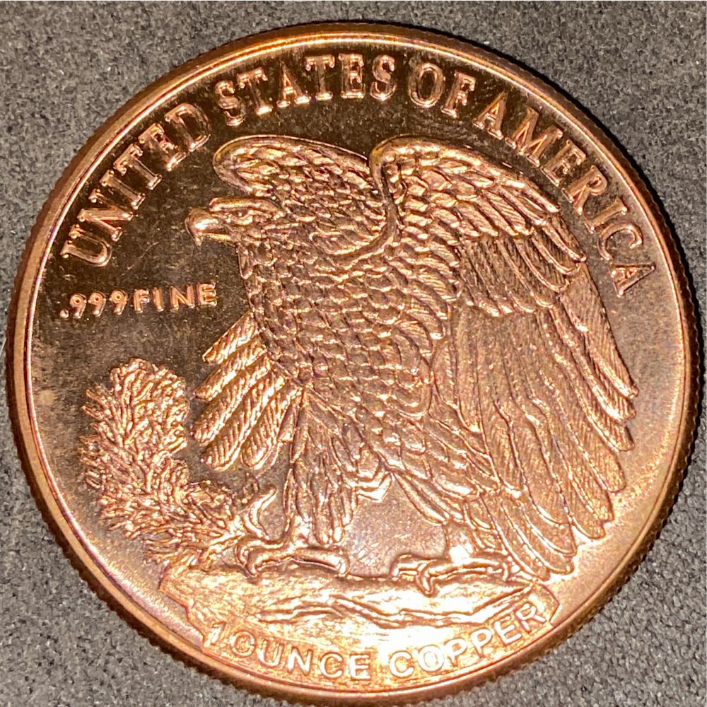 1 oz NTR Buffalo Copper Round  coin collectible - Main Image 2