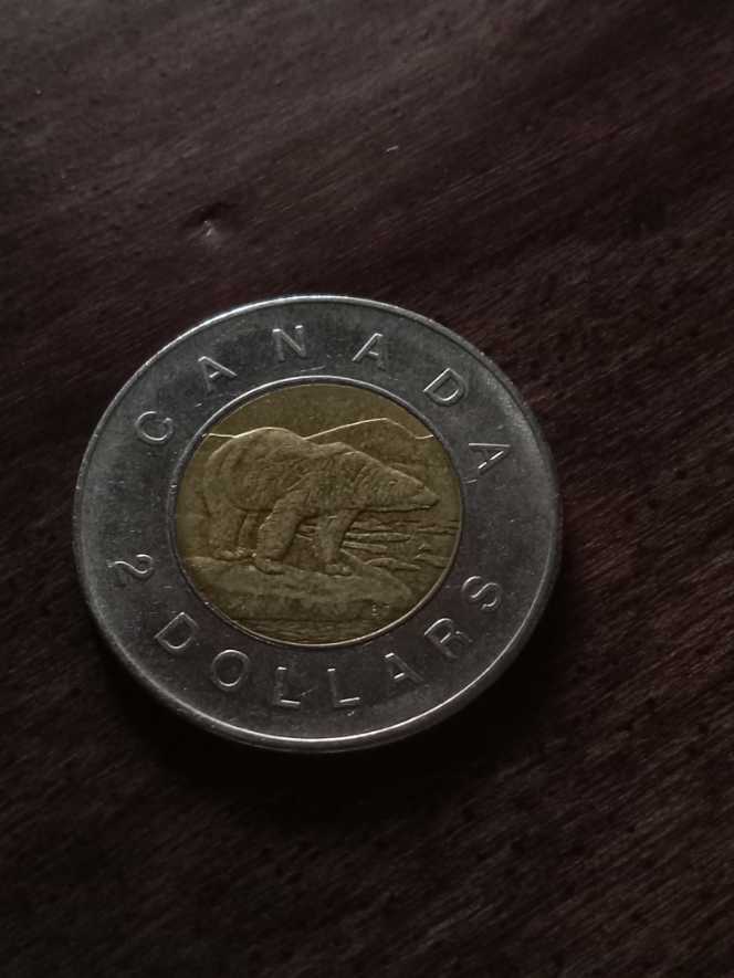 Paradise Island Amusement Park