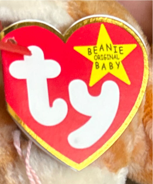 Amber  coin collectible [Barcode 008421042432] - Main Image 3