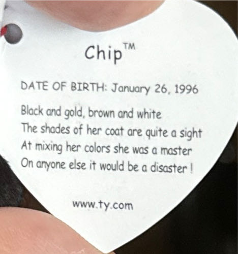 Chip  coin collectible [Barcode 008421041213] - Main Image 2