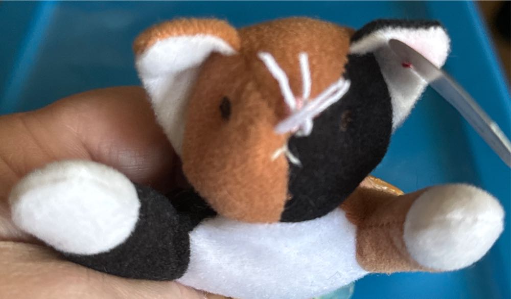 Ghost Brothers of Darkland County