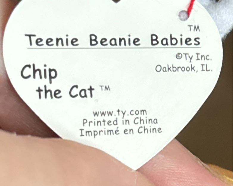 Chip The Cat  coin collectible - Main Image 2