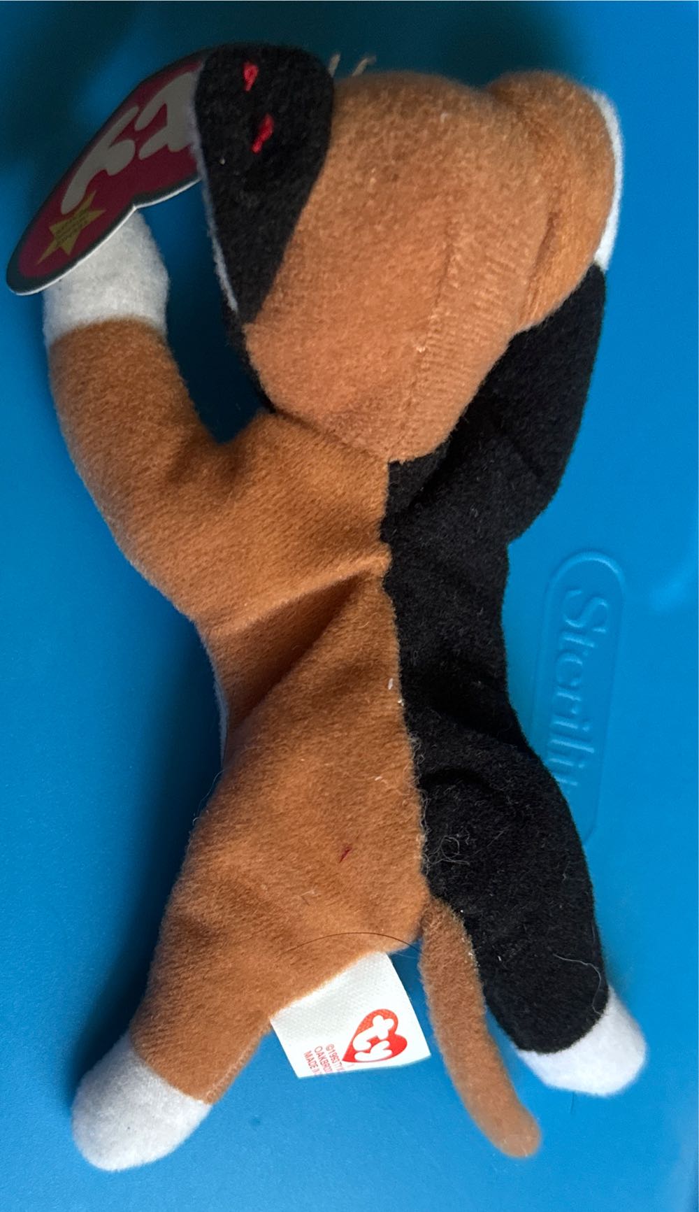 Chip The Cat  coin collectible - Main Image 4