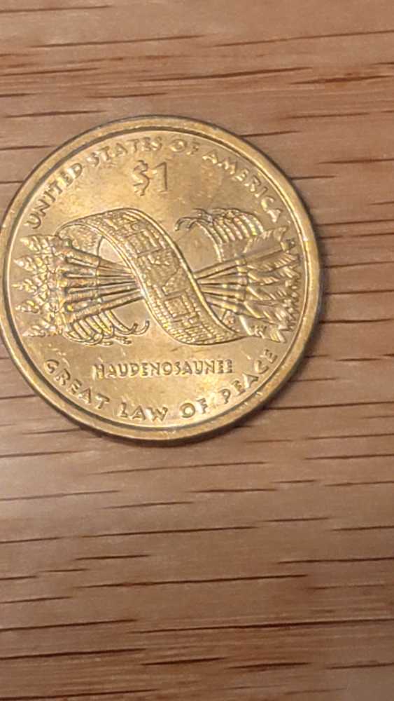 Sacagawea Native American Dollar  coin collectible - Main Image 2