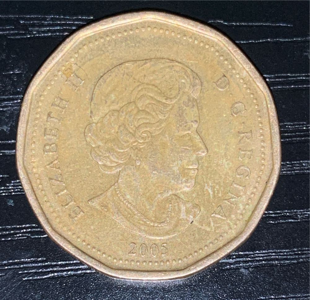 1 Dollar - Elizabeth II (Terry Fox)  coin collectible - Main Image 2