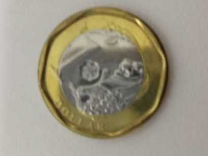 Disney Springs (Up House) 2024 World Of Disney