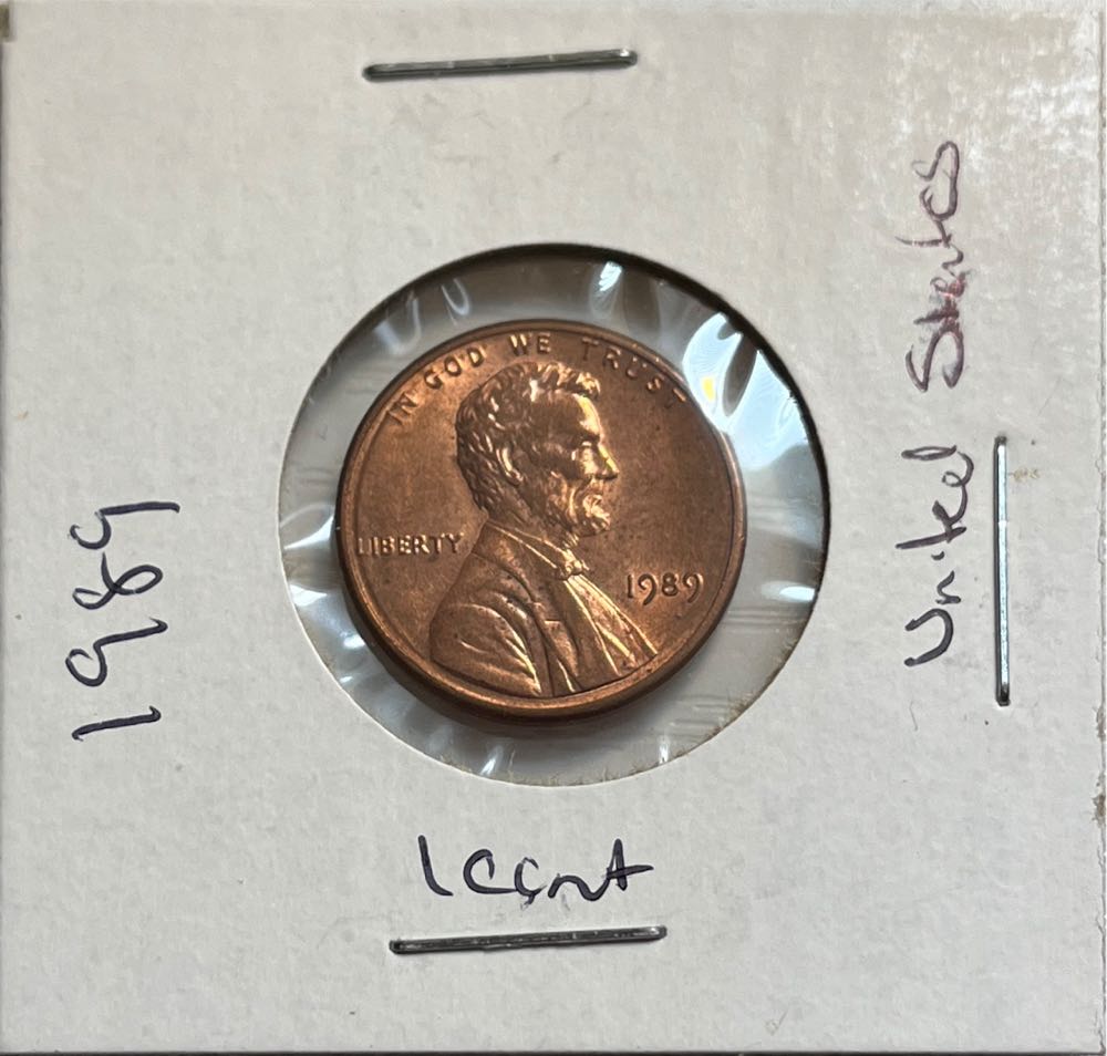 Mini Lil Beauty Of Birds