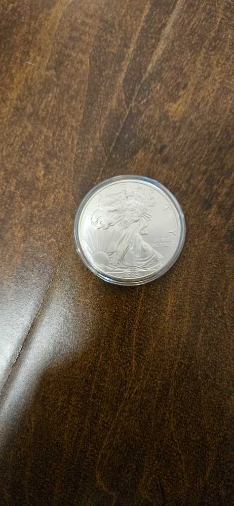 Morgan Dollar 1900