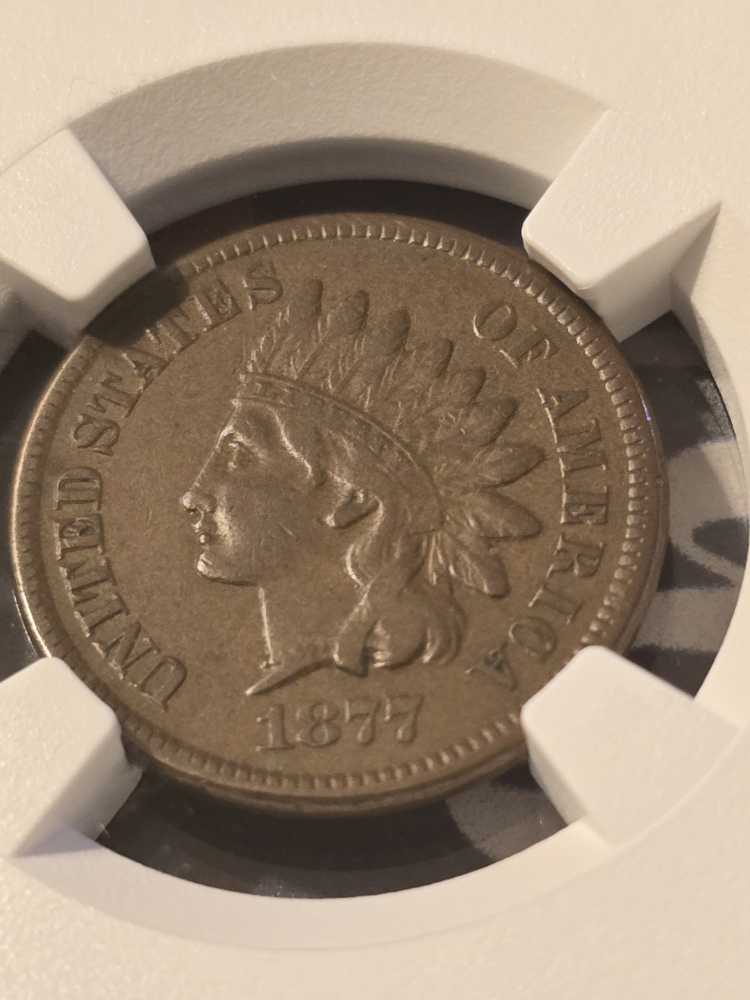 1877 Indian Cent NGC VF30 (Formally ANACS F12)  coin collectible - Main Image 4