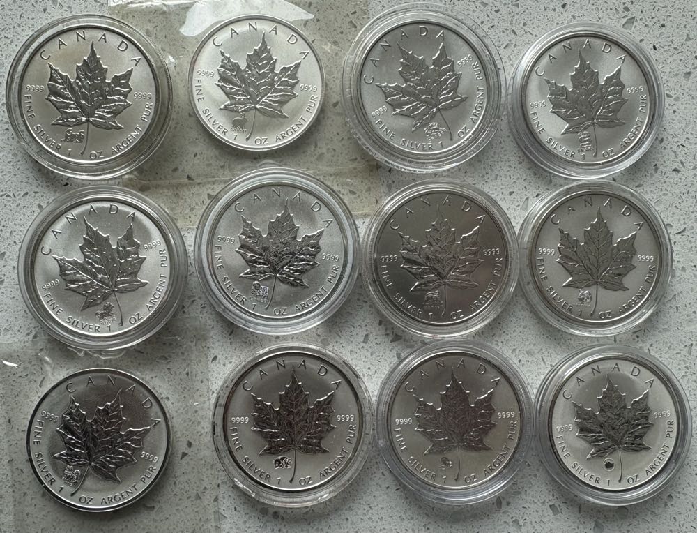 2004 Canadian Maple - Desjardins Privy  coin collectible - Main Image 3