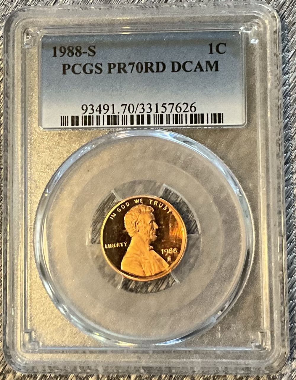 10g Pamp Lady Frotuna