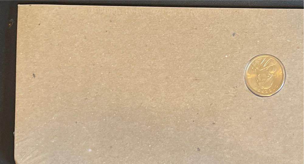 Sacagawea Golden Dollar 1999  coin collectible - Main Image 2