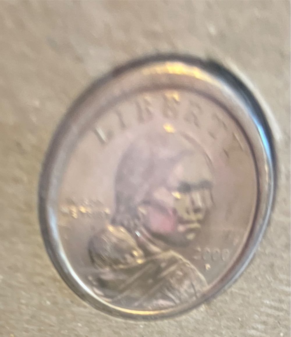 Sacagawea Golden Dollar 1999  coin collectible - Main Image 4