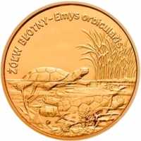 Disney (Woody Kicking A Football) 2024