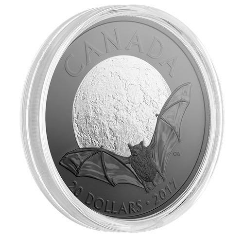 Animaux nocturnes : La petite chauve-souris brune - Pièce de 1 oz en argent pur  coin collectible - Main Image 2