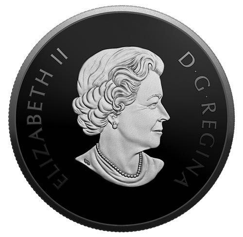 Animaux nocturnes : La petite chauve-souris brune - Pièce de 1 oz en argent pur  coin collectible - Main Image 3