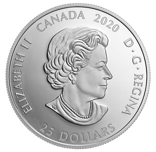 25e saison des Toronto Raptors - Pièce de 1 oz en argent pur  coin collectible - Main Image 2