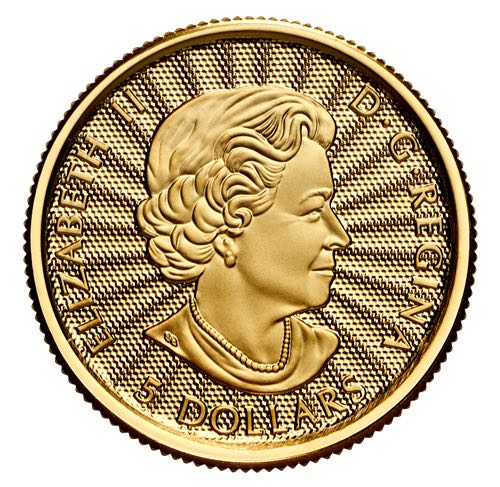 Le majestueux ours polaire - Pièce de 1/10 oz en or pur   coin collectible - Main Image 3