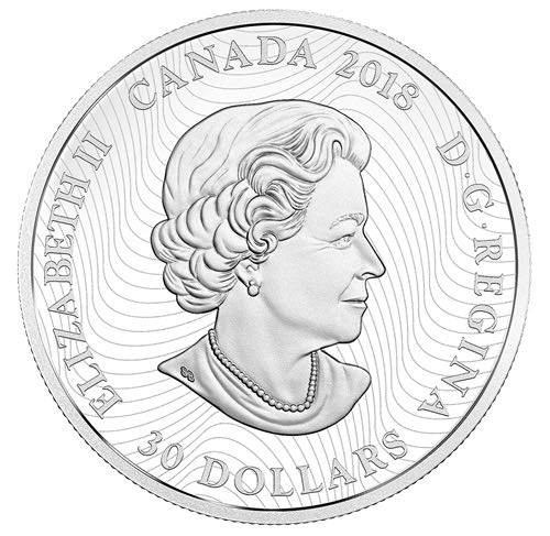 Animaux de l’Arctique et aurores boréales : Harfang des neiges - Pièce luminescente de 2 oz en argent pur  coin collectible - Main Image 2