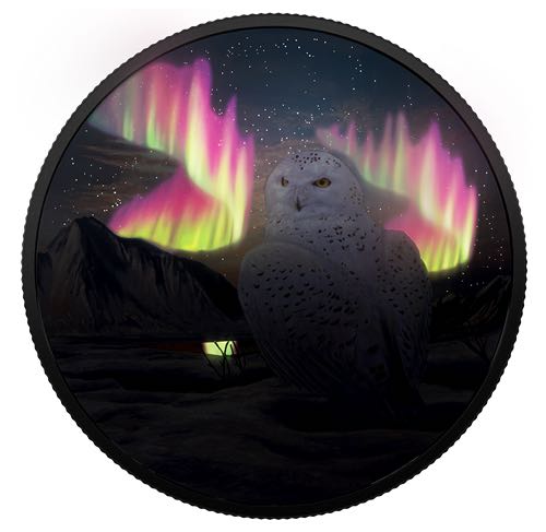 Animaux de l’Arctique et aurores boréales : Harfang des neiges - Pièce luminescente de 2 oz en argent pur  coin collectible - Main Image 3