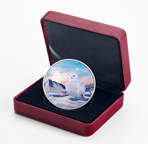 Animaux de l’Arctique et aurores boréales : Harfang des neiges - Pièce luminescente de 2 oz en argent pur  coin collectible - Main Image 4