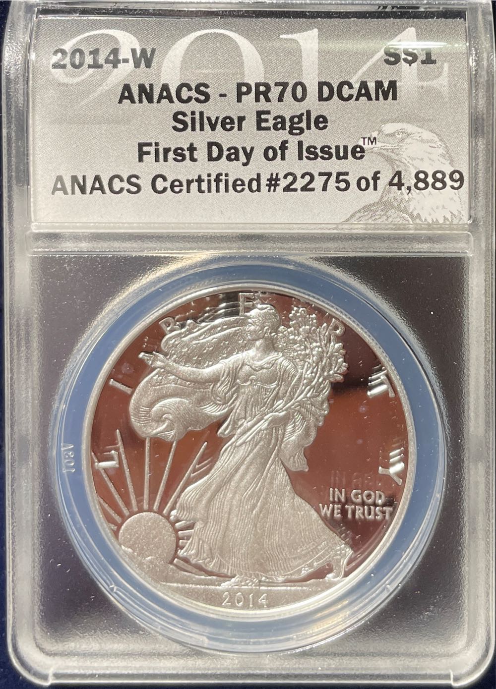 Space Meteorite Argentina 2200BC