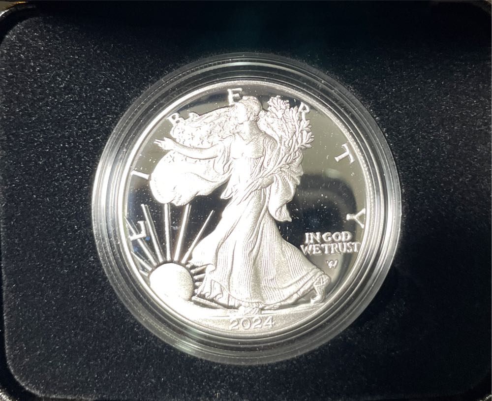 American Eagle One Ounce Silver Proof Coin (W)  coin collectible - Main Image 2