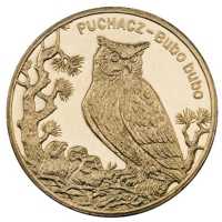 American 1981 1 Cent “Lincoln Memorial Cent” Penny (Mom’s Collection)