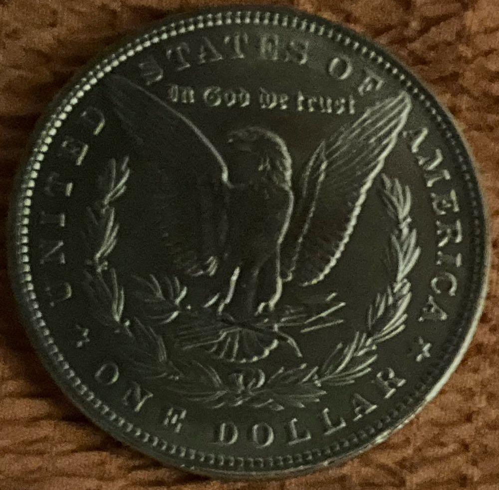 Morgan Dollar 1895  coin collectible - Main Image 2