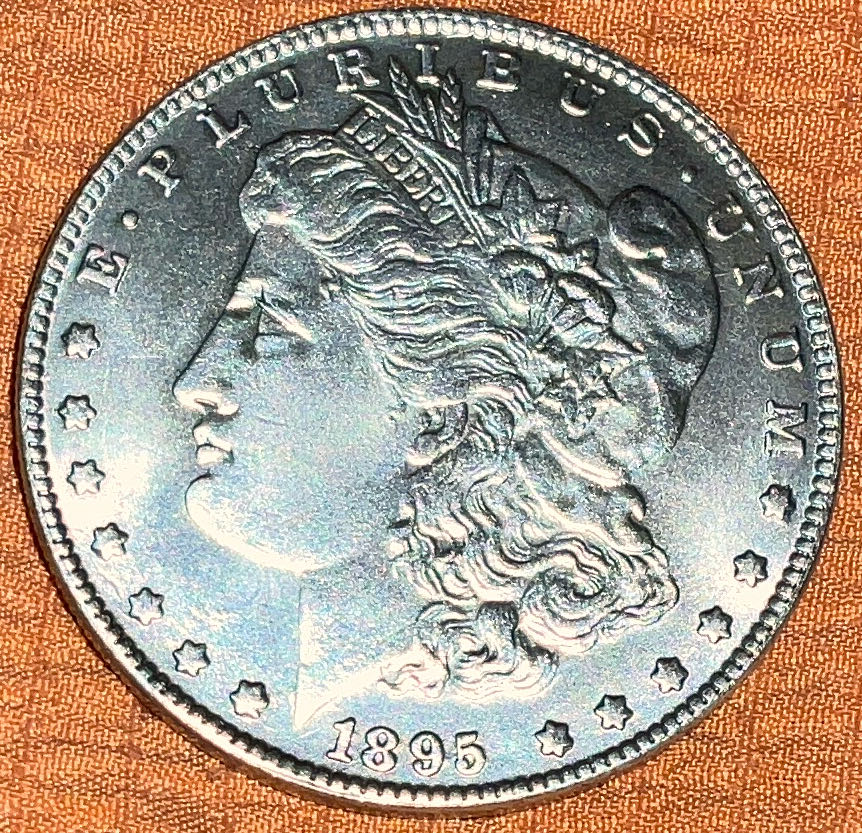 Morgan Dollar 1895  coin collectible - Main Image 3