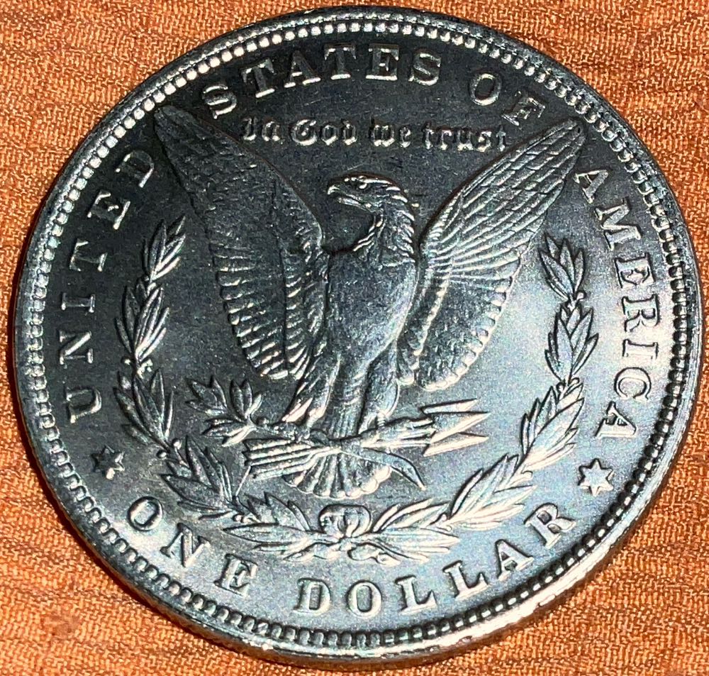 Morgan Dollar 1895  coin collectible - Main Image 4