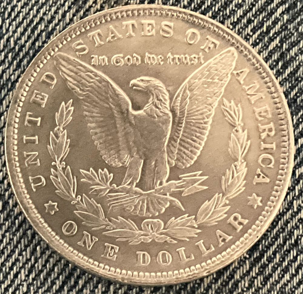 Morgan Dollar 1895  coin collectible - Main Image 2
