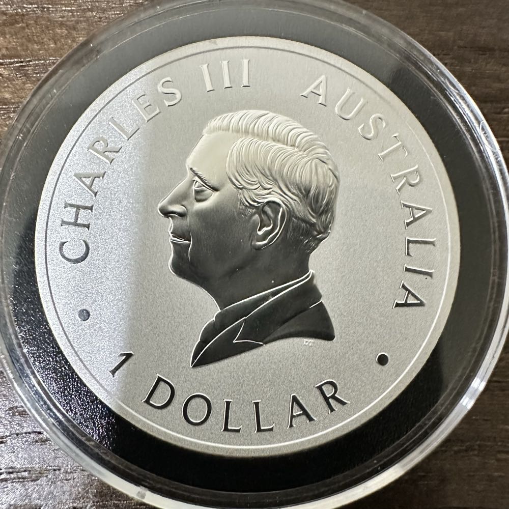 Kookaburra  coin collectible - Main Image 4