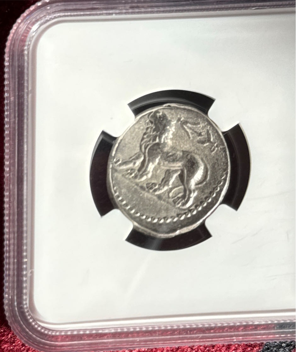 Seleucid Kingdom  coin collectible - Main Image 2