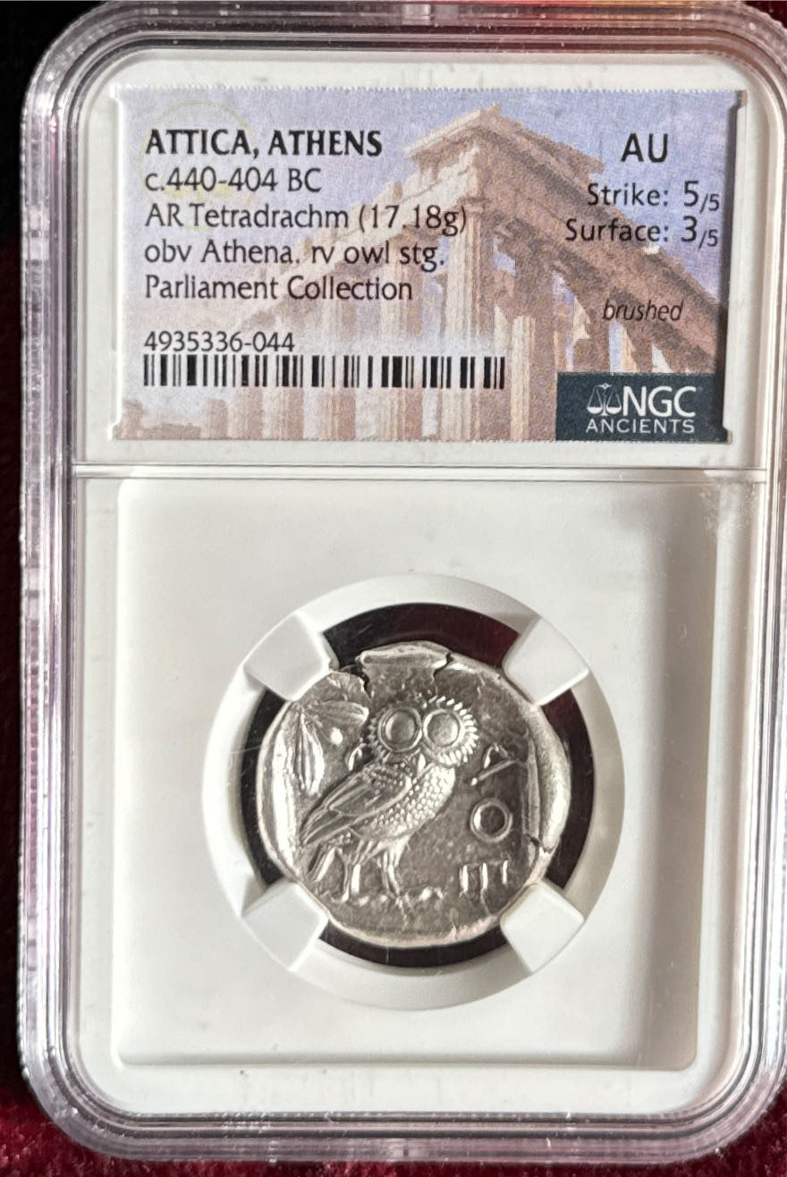 2004 Canadian Maple - Aries Privy