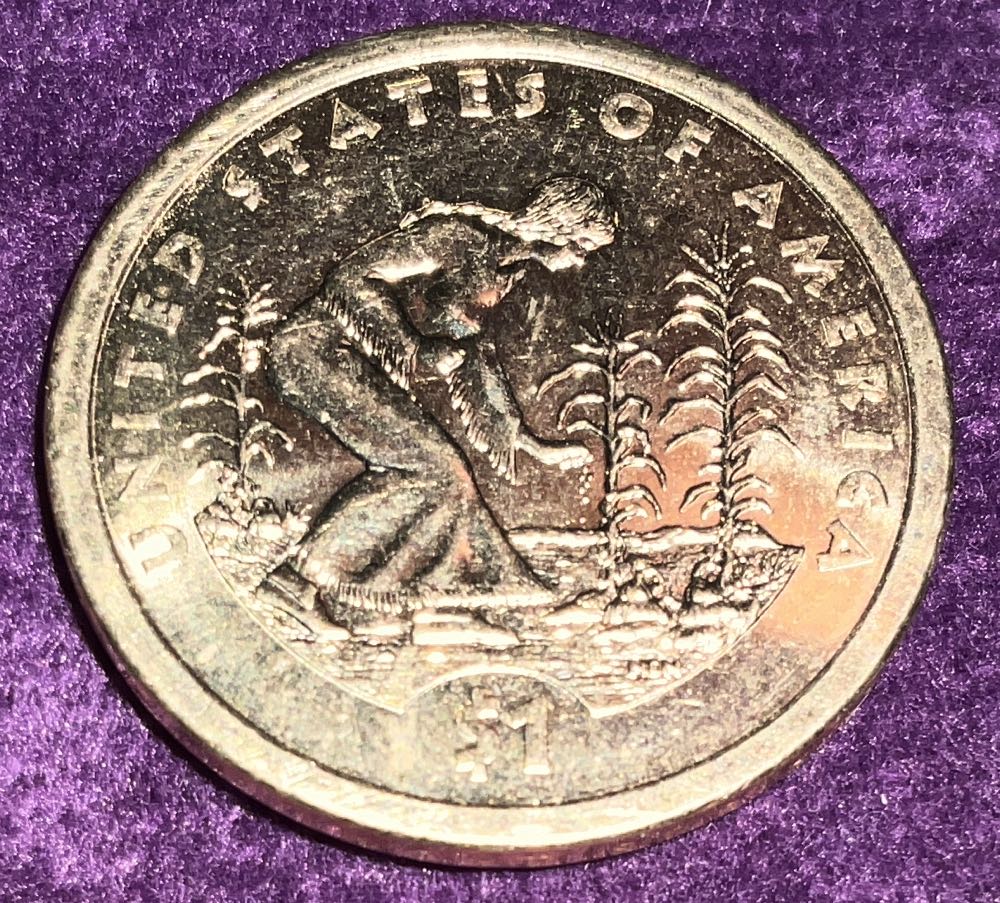 Sacagawea NM/ND  coin collectible - Main Image 2
