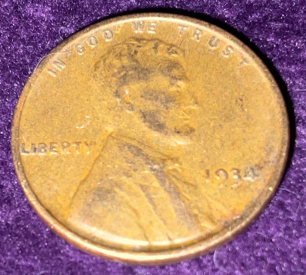 Turkey Shoot (Limited Edition)