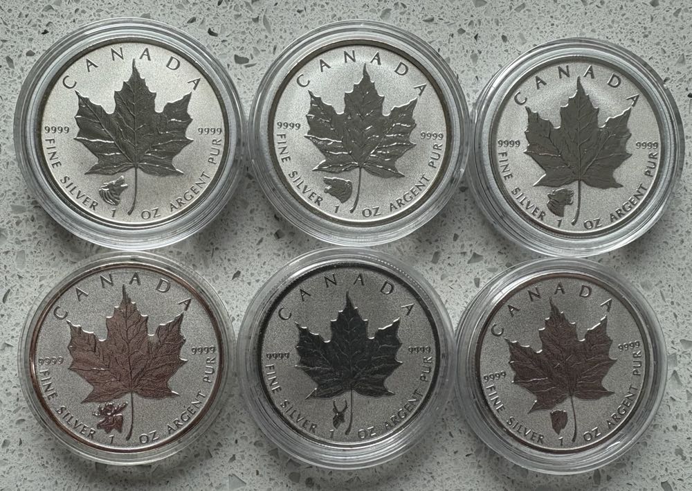 2016 Canadian Maple - Dire Wolf Privy  coin collectible - Main Image 3