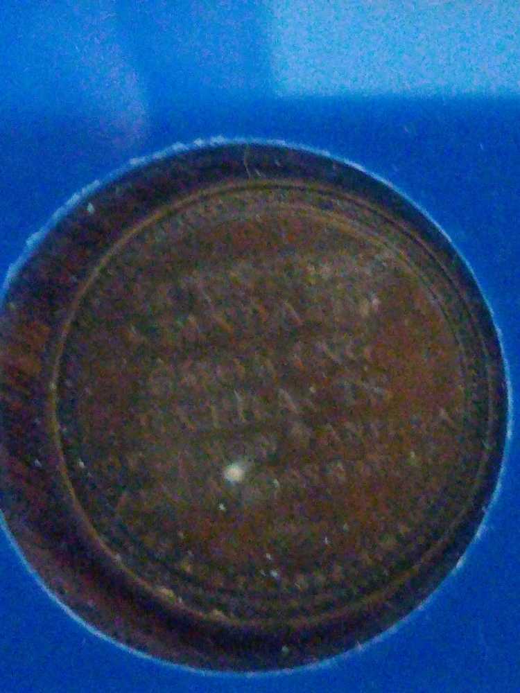 Stamp Encased Burnett’s Standard Cooking Extracts  coin collectible - Main Image 2