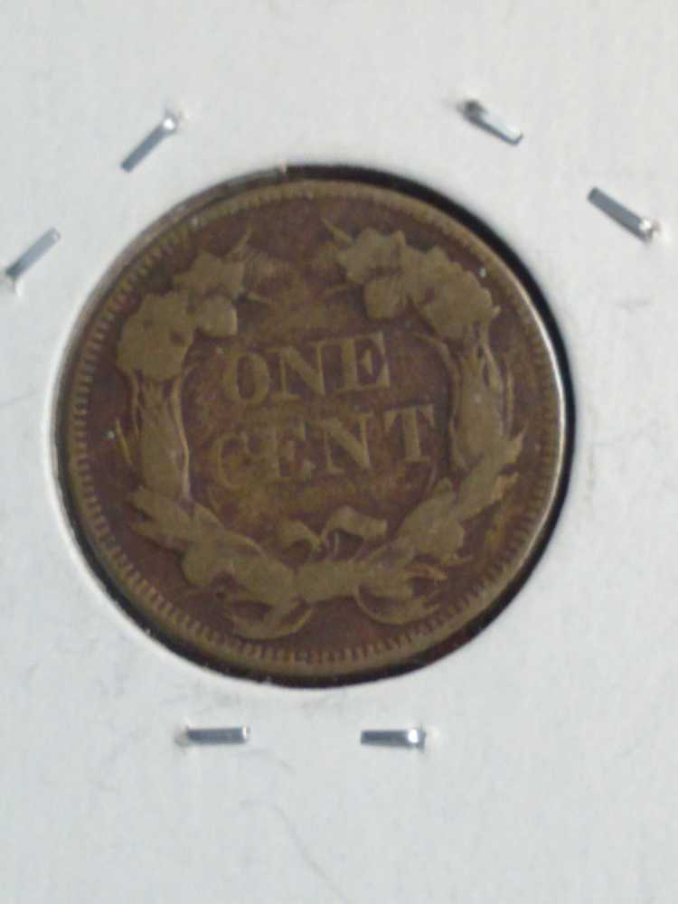 Penny 1857 Flying Eagle   coin collectible - Main Image 2