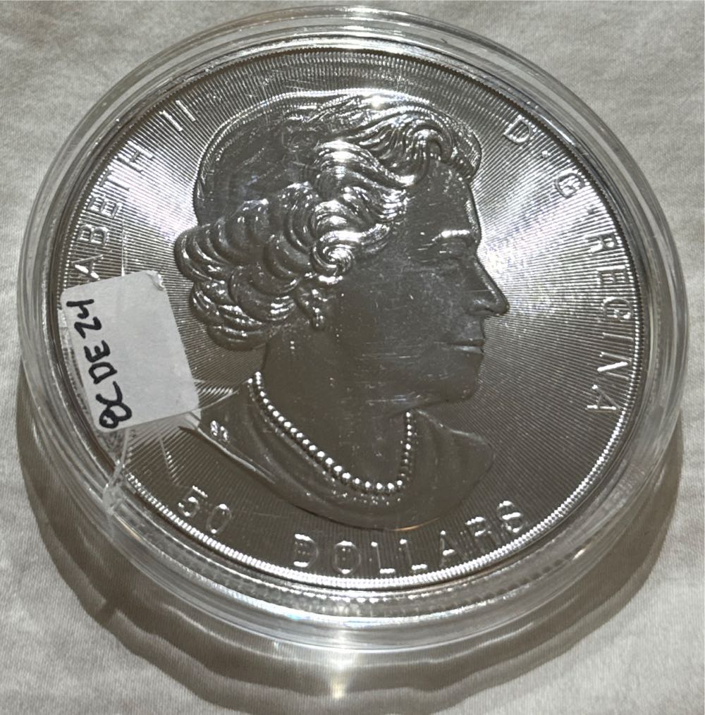 Canada 50 Dollars 10 Oz Silver Grizzly Bear  coin collectible - Main Image 2